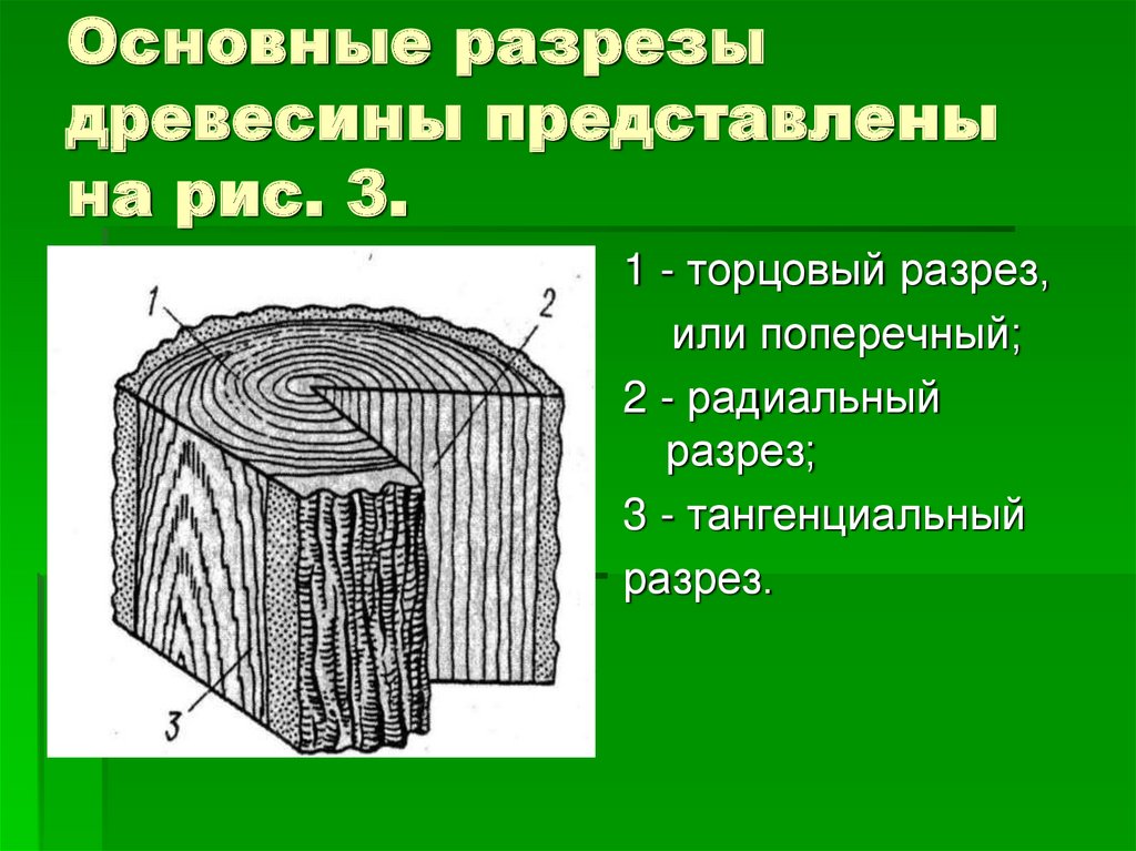 В древесине содержится