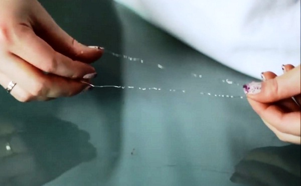 delayem-sosnovuyu-vetku (3)