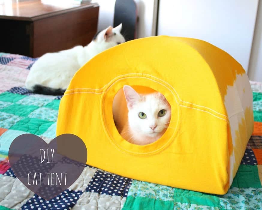 Diy cat tent from a tshirt