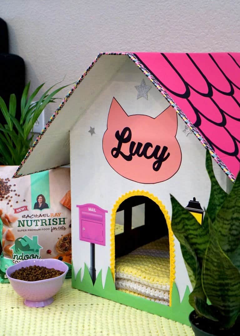 Easy embellished cardboard cat house