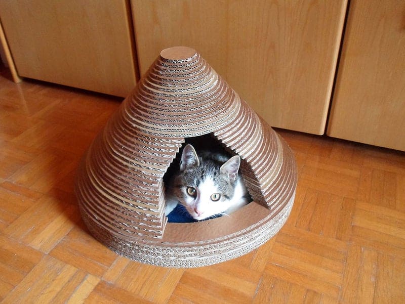 Layered cardboard cat temple