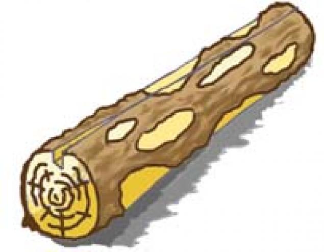 Начало.Заготовка древесины для резьбы., фото № 6