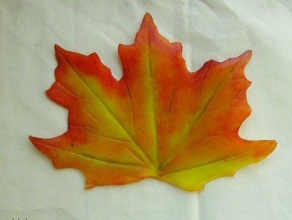 Осенние листья как источник вдохновения, фото № 23