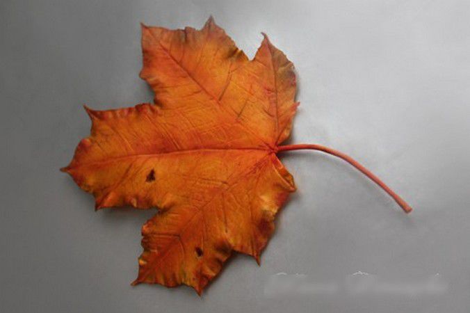 Осенние листья как источник вдохновения, фото № 24