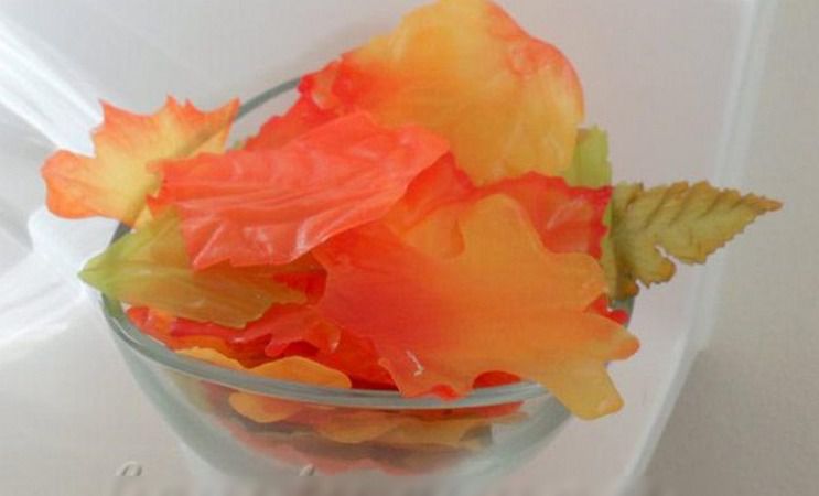 Осенние листья как источник вдохновения, фото № 26