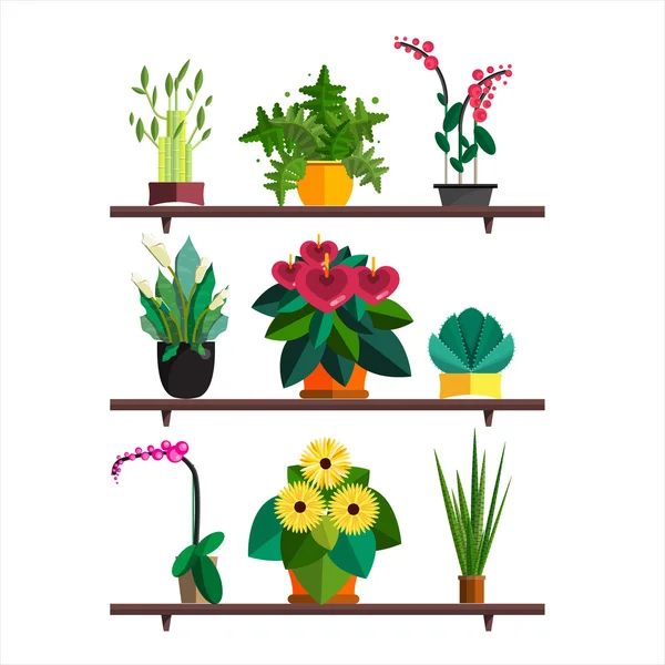 Illustration of houseplants, indoor and office plants in pot. Dracaena, fern, bamboo, spathyfyllium, orchids, Calla lily, aloe vera, gerbera, snake plant, anthuriums. Flat plants, vector icon set Stock Vector