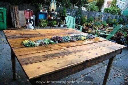 DIY Succulent Pallet Table 