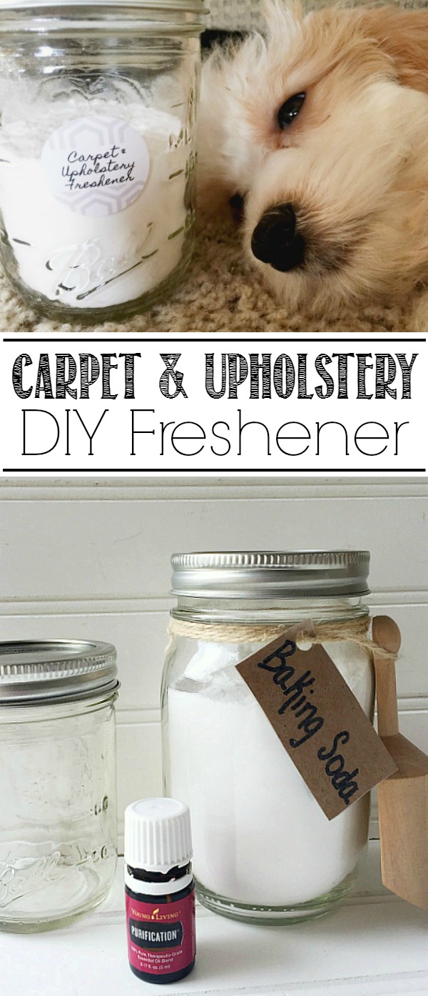 DIY Carpet and Upholstery Freshener . The perfect green cleaning method to get rid of pet odors, food odors and more!