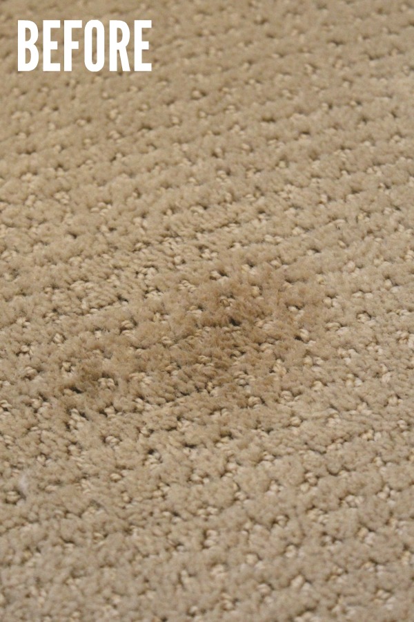 Great tips on how to remove pet stains from carpets.