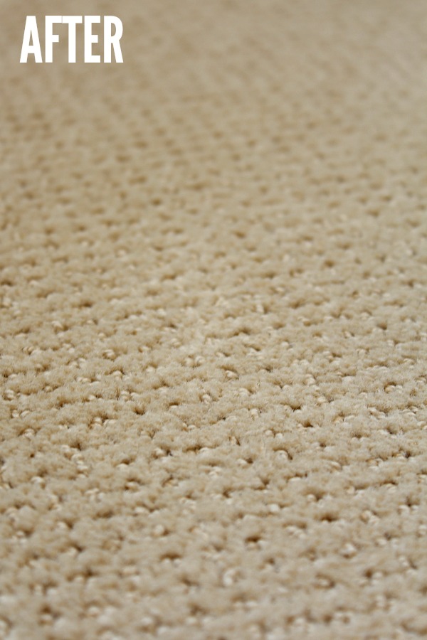 Great tips on how to remove pet stains from carpets.